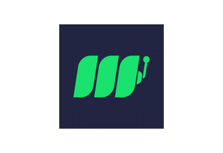Metaspins logo